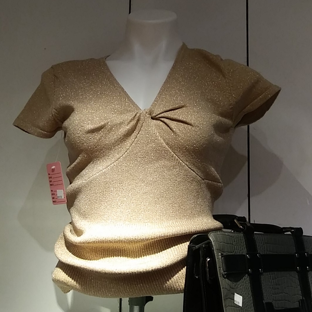 Ladies top